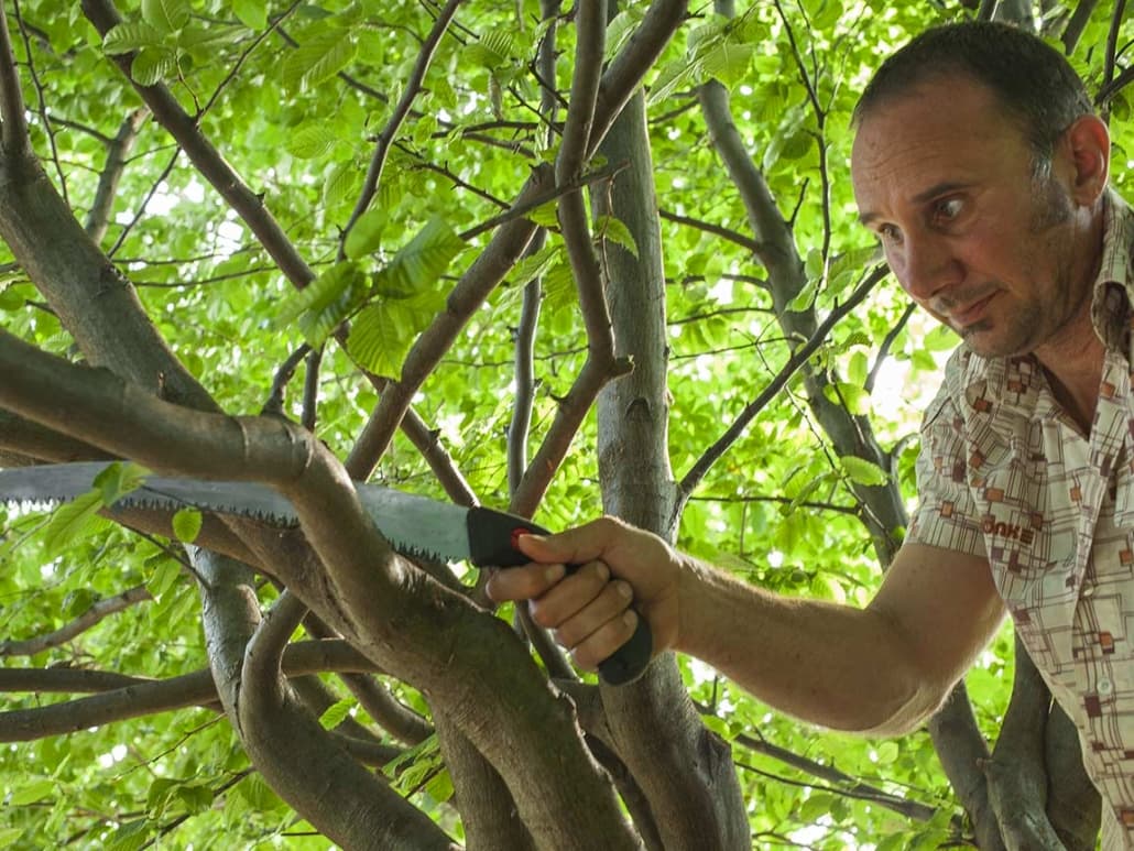 Gartengestaltung Herzog – Referenzprojekt